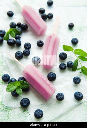 Gelato ai mirtilli o papaveri fatti in casa Foto Stock