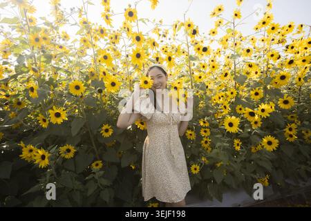 Felice giovane donna asiatica nel bellissimo campo di girasole giallo nella soleggiata giornata estiva. Questo bellissimo ritratto le mostra la natura, la sensazione di libertà e di libertà Foto Stock