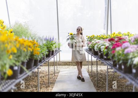 Felice donna asiatica fiorista che lavora all'interno di una luminosa serra piena di fiori. un adulto sorridente tiene il girasole in vaso mentre cammina attraverso il piano commerciale Foto Stock