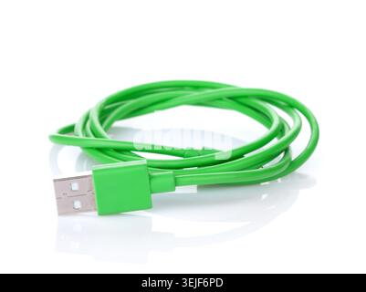 Cavo verde del computer Foto Stock