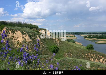 Valle del fiume Vorskla e scogliere di steppa nel Parco paesaggistico regionale di Nyzhnovorsklyanskyi, Ucraina Foto Stock