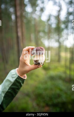 Primo piano mano che tiene il bolete di fungo bianco sullo sfondo verde della foresta. Raccolta di funghi commestibili Foto Stock