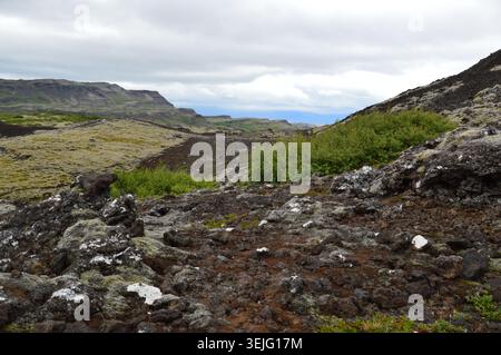 Splendido paesaggio vulcanico caratterizzato da rocce laviche ruvide, cespugli verdi e colline coperte di muschio sotto un cielo nuvoloso nel campo di lava di Berserkjahraun, Islanda. Foto Stock