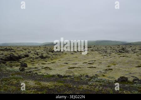Un vasto e ondulato campo di lava coperto di muschio che si estende verso lontane colline nebbiose sotto un basso cielo coperto in Islanda. Foto Stock