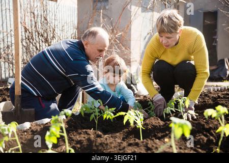 Le famiglie multigenerazionali lavorano insieme in giardino e aprono i letti con una pala vicino alla casa. vita lenta. godetevi il littl Foto Stock
