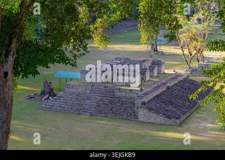 Piattaforma Maya accanto al campo da gioco con sculture di uccelli d'ara, rovine di Copan, Honduras. Foto Stock
