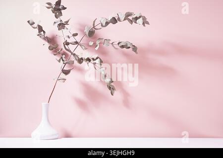 Ramo secco di eucalipto in vaso in ceramica bianca alla luce del sole con ombra sulla parete rosa pastello. Elegante arredamento in stile casalingo con semplice Foto Stock