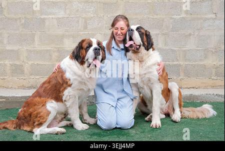 Donna che abbraccia e bacia due grandi cani di san Bernardo seduti all'aperto Foto Stock