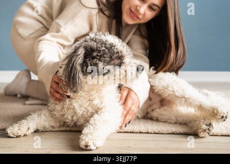 Bella donna con un cane giocoso che abbraccia a casa Foto Stock