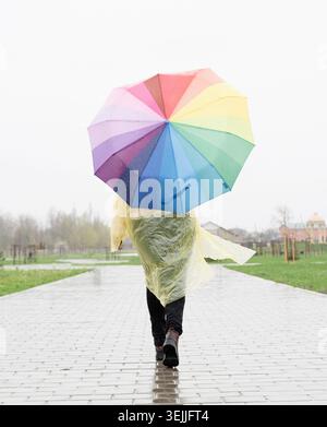Donna che tiene in mano un ombrello colorato che cammina sotto la pioggia, vista da dietro Foto Stock