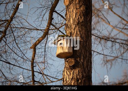 Nido in legno fatto a mano attaccato all'albero, posto speciale per gli uccelli svernanti organizzati nei parchi cittadini Foto Stock