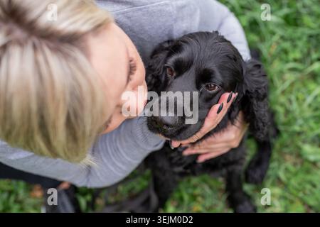 Black Cocker Spaniel con il suo proprietario nel parco Foto Stock