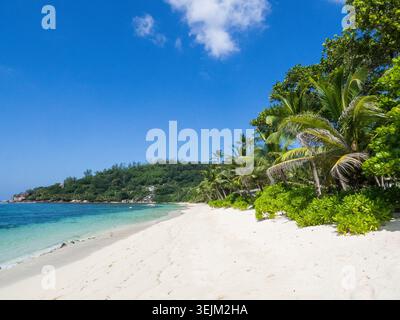 Seychelles - Mahe, Anse Takamaka Foto Stock