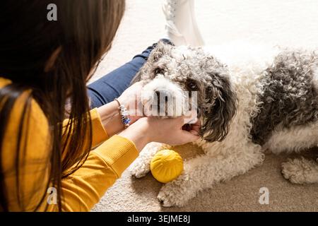 Bella donna con un cane giocoso che si diverte a casa Foto Stock