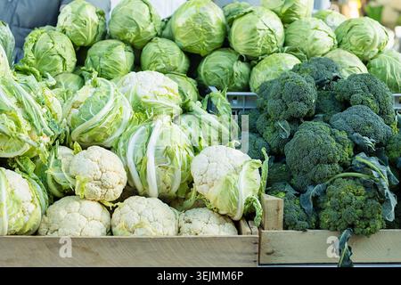 Vivaci cavoli verdi freschi, broccoli e teste di cavolfiore si accumulano in casse di legno al mercato all'aperto. Stagione abbondante Foto Stock