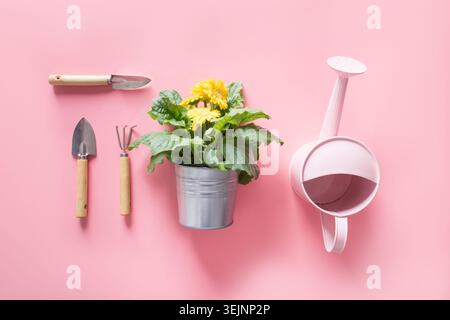 Sfondo da giardinaggio con annaffiatoio e fiori di gerbera sul rosa. Foto Stock