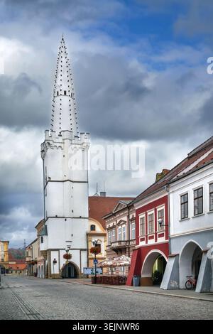 Municipio nella piazza principale, Kadan, Repubblica Ceca. Torre gotica e vista sulla facciata storica sotto il cielo nuvoloso in luce soffusa Foto Stock