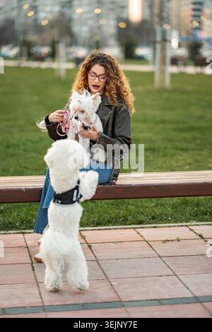 Giovane donna adulta che allena gli animali domestici sulla panca del parco Foto Stock