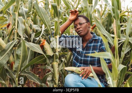 Agricoltrice afroamericana che ispeziona il raccolto di mais sul campo Foto Stock