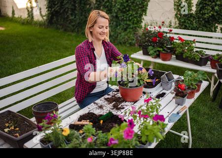 Il giardiniere cresce fioritura vibrante in primavera Foto Stock