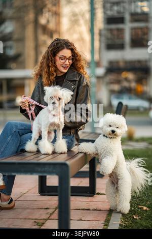 Giovane donna che ama il parco cittadino con due cani di piccola taglia Foto Stock