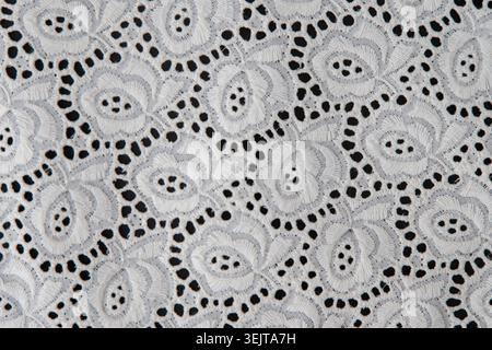 Sfondo con trama in pizzo floreale bianco, ricamo in mesh con dettagli floreali Foto Stock