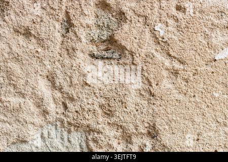 La superficie delle pareti invecchiata mostra intonaco beige ruvido con segni usurati e frammenti di distacco. Sfondo neutro testurizzato con spazio di copia, perfetto per il design, vi Foto Stock