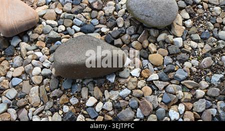 Letto di piccole rocce fluviali lisce con rocce lisce più grandi sulla parte superiore che mostrano forme e colori misti con detriti di ciottoli sparsi Foto Stock