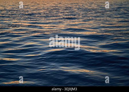 Acque calme dell'oceano e dolci onde che riflettono la luce dorata del tramonto su una superficie del mare ondulata e strutturata. Foto Stock