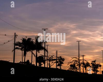 Un tramonto mozzafiato dell'ora d'oro in Brasile, caratterizzato dalle sagome scure di pali, linee elettriche e alberi lussureggianti contro un arancione vibrante e. Foto Stock