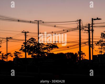 Un tramonto mozzafiato dell'ora d'oro in Brasile, caratterizzato dalle sagome scure di pali, linee elettriche e alberi lussureggianti contro un arancione vibrante e. Foto Stock