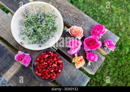 Fragole selvatiche, petali di rosa commestibili e timo selvatico, ciascuno nel proprio contenitore su un tavolo di legno rustico, raccolto organico di giardino in Slovenia. Foto Stock
