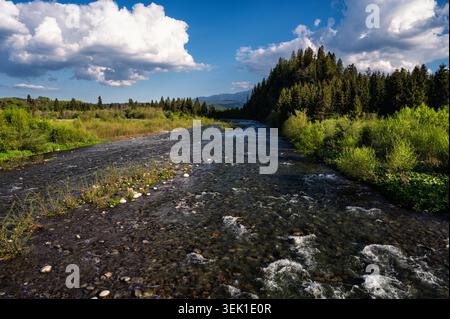 Panoramico fiume Bialka che scorre attraverso la valle della foresta verde vista dal ponte Bukowina Tatrzanska. Fiume di montagna limpido con rocce e vegetazione sulla riva Foto Stock