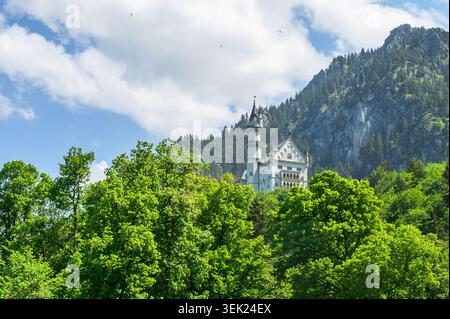 Schwangau, Germania - maggio 31 2026: Castello di Neuschwanstein circondato da lussureggianti alberi verdi con le Alpi bavaresi e parapendio nel cielo. Foto Stock