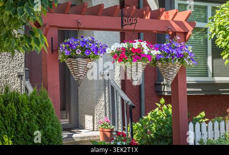Fiori nel cestino appeso di fronte alla casa. Vasi di fiori appesi di petunie viola e rosa e fiori calibrachoa. Fiori colorati nel gard Foto Stock