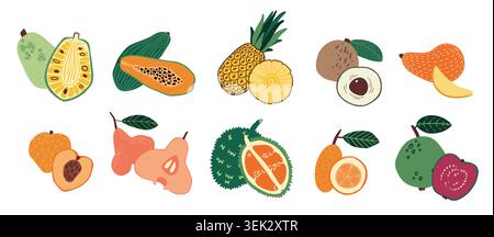 Set di frutta tropicale. Colorata collezione di prodotti esotici disegnati a mano, pezzi interi e tagliati a fette, papaia, ananas e mango per il confezionamento, il menu e l'etichetta. Illustrazione isolata piatta del cartone animato vettoriale Illustrazione Vettoriale