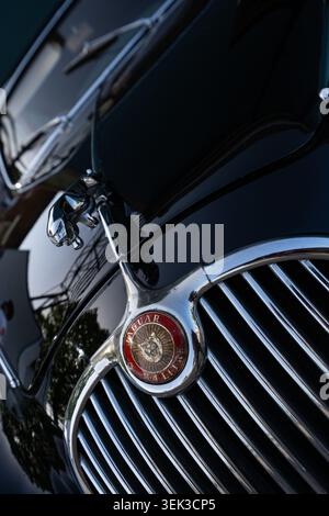 Primo piano di una classica griglia frontale Jaguar da 3,4 litri e di una mascotte di gatto che salta in blu scuro Foto Stock
