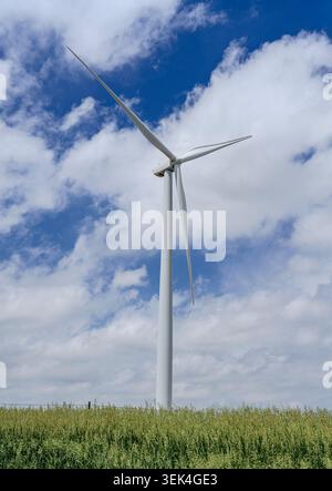 Una turbina eolica in un campo agricolo nella contea di Carroll, Iowa. Foto Stock