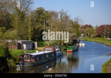 Villaggio di Grappenhall nel Borough di Warrington nel Cheshire. Nella foto è stato raffigurato il Bridgewater Canal nell'area del ponte Stanny Lunt Foto Stock
