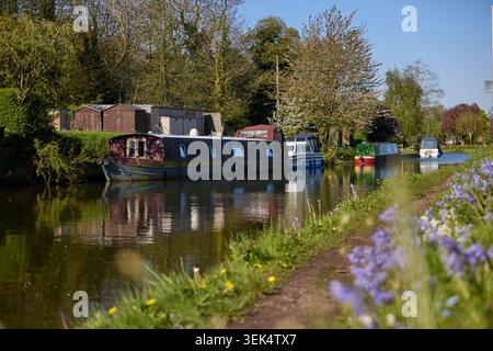 Villaggio di Grappenhall nel Borough di Warrington nel Cheshire. Nella foto è stato raffigurato il Bridgewater Canal nell'area del ponte Stanny Lunt Foto Stock