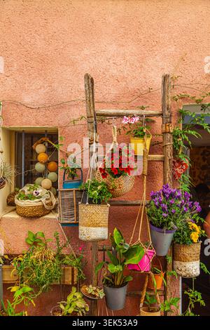 Piante in vaso in una casa a l'isle sur la Sorgue in Provenza Foto Stock