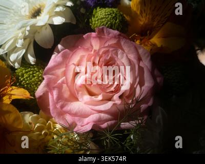 Vista ravvicinata di una splendida rosa in un bouquet di fiori multicolore con una luce spettacolare. Foto Stock