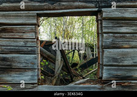 Cabina di legno bruciata abbandonata nel bosco. Guardando attraverso la finestra di una casa bruciata Foto Stock
