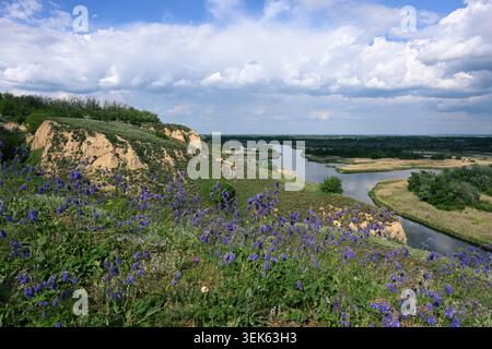 Valle del fiume Vorskla e scogliere di steppa nel Parco paesaggistico regionale di Nyzhnovorsklyanskyi, Ucraina Foto Stock