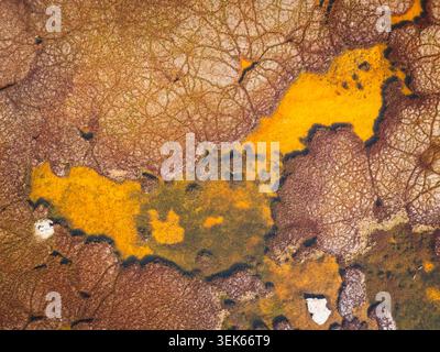 Vista aerea astratta di una palude colorata Foto Stock