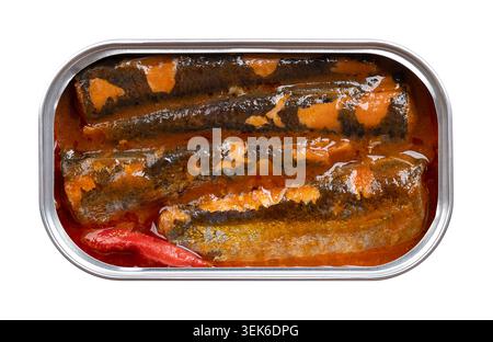 Sardine in scatola in olio d'oliva con salsa di pomodoro piccante, in lattina. Pilchard europeo, Sardina pilchardus, un pesce piccolo e oleoso. Foto Stock