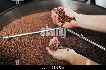 Primo piano di mani maschili che tengono i chicchi di caffè appena tostati controllando la qualità della tostatura. Tamburo di una macchina per torrefazione professionale riempito di chicchi sullo sfondo. Immagine dettagliata che illustra la produzione del caffè, il controllo di qualità, l'artigiano roas Foto Stock