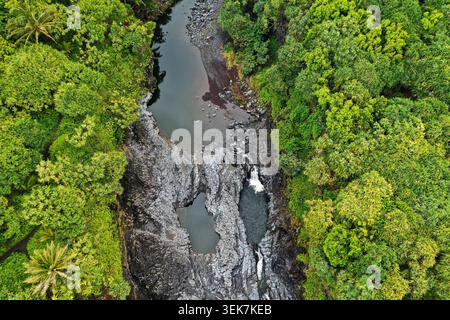 Una vista aerea di una lussureggiante foresta tropicale che circonda un ruscello roccioso e piccole cascate a Maui, Hawaii. La vegetazione verdeggiante è completata dal Foto Stock