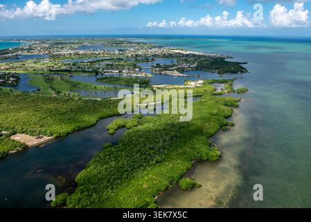 Una fotografia aerea di droni ad alto angolo che cattura le lussureggianti foreste di mangrovie verdi che costeggiano le paludi costiere di Grand Cayman Foto Stock