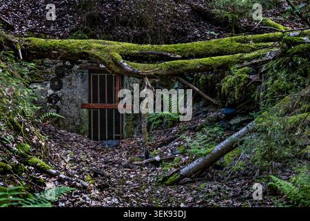 Un ingresso in miniera fatiscente con barre di ferro arrugginite in una parete rocciosa ricoperta di muschio, un'ex miniera di ardesia nei boschi vicino a Ludwigsstadt, Baviera, Germania Foto Stock